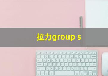 拉力group s